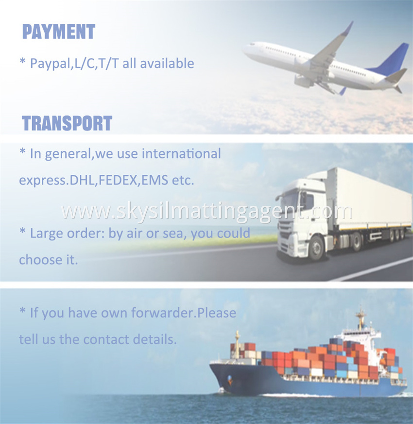 P Payment Transport 2